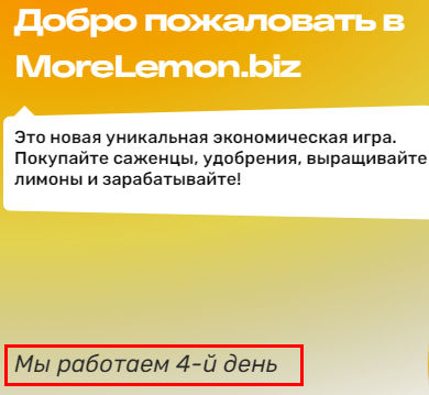 morelemon.biz отзывы